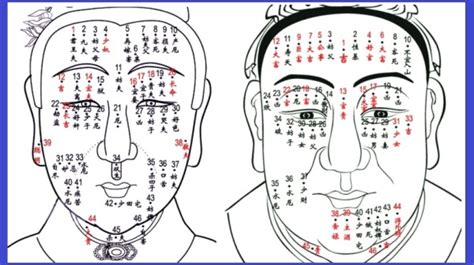 為什麼會長痣